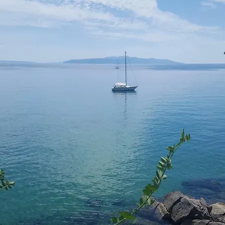 Apartment Greenhouse