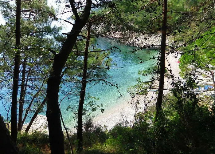 Greenhouse Διαμέρισμα Οπατία