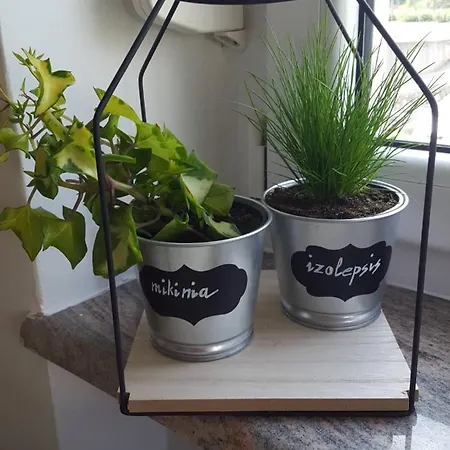 Greenhouse Apartman Abbázia