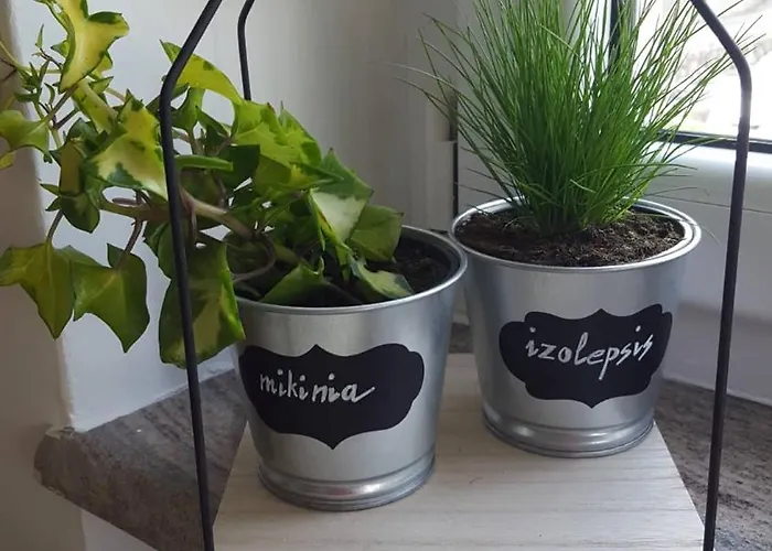 Greenhouse דירה אופטיה