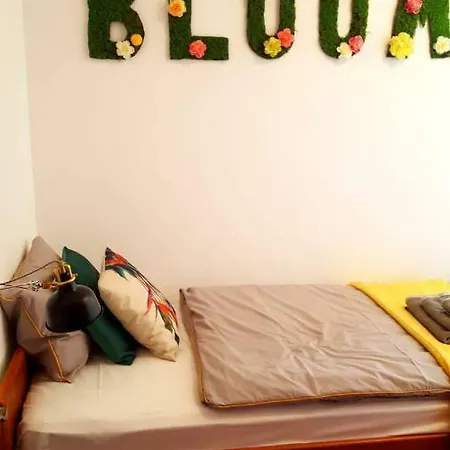 Greenhouse * Οπατία