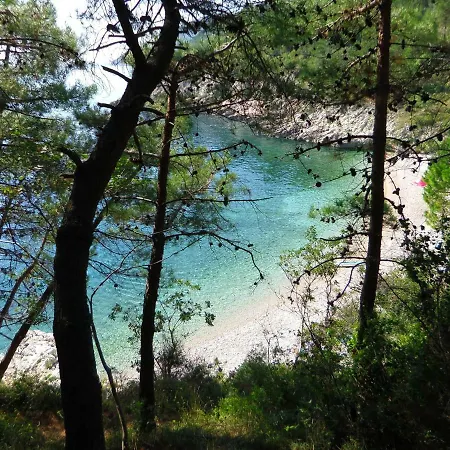 Greenhouse Διαμέρισμα Οπατία